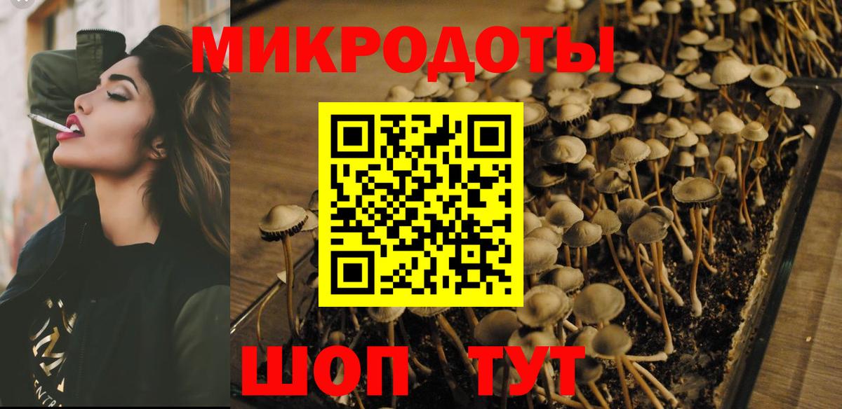 Псилоцибиновые грибы GOLDEN TEACHER Юрга