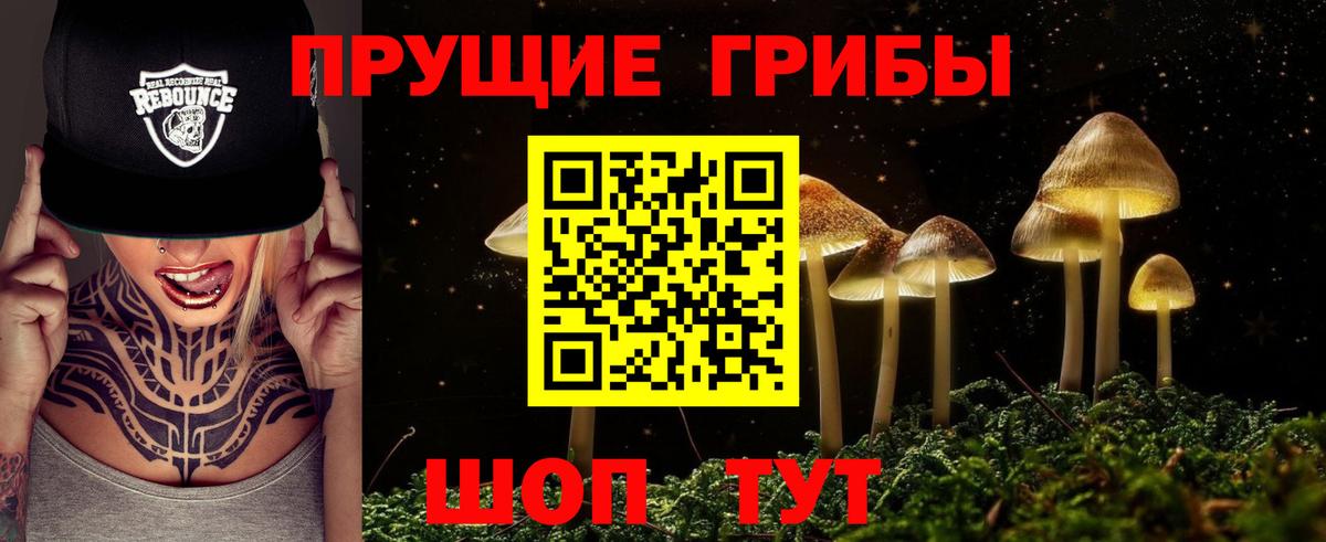 Юрга  Галлюциногенные грибы Cubensis  купить наркоту  Вход с VPN  Галлюциногенные грибы MAGIC MUSHROOMS 