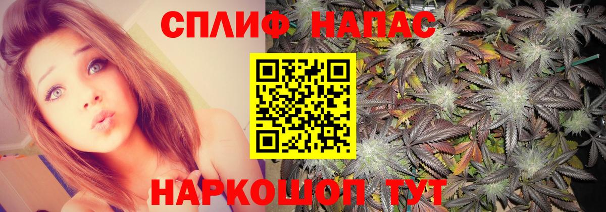 Канабис сатива  Конопля THC 21%  Вход с VPN  Канабис AK-47  Юрга 